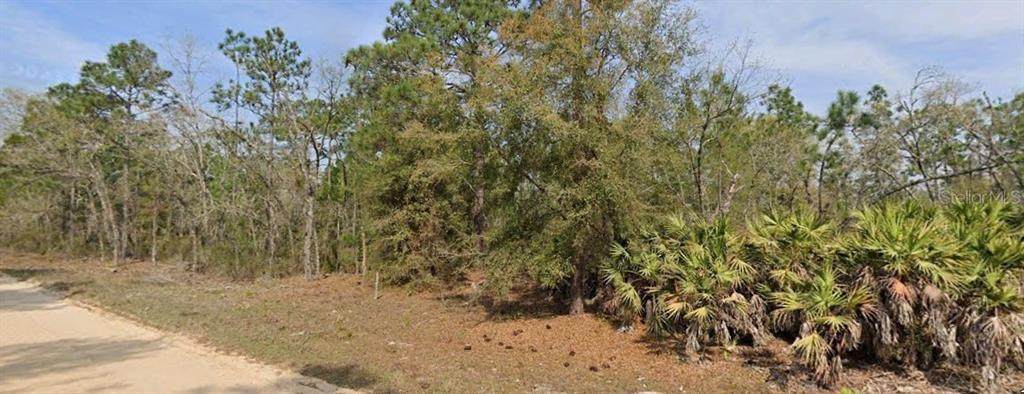  Union Avenue - Photo 1