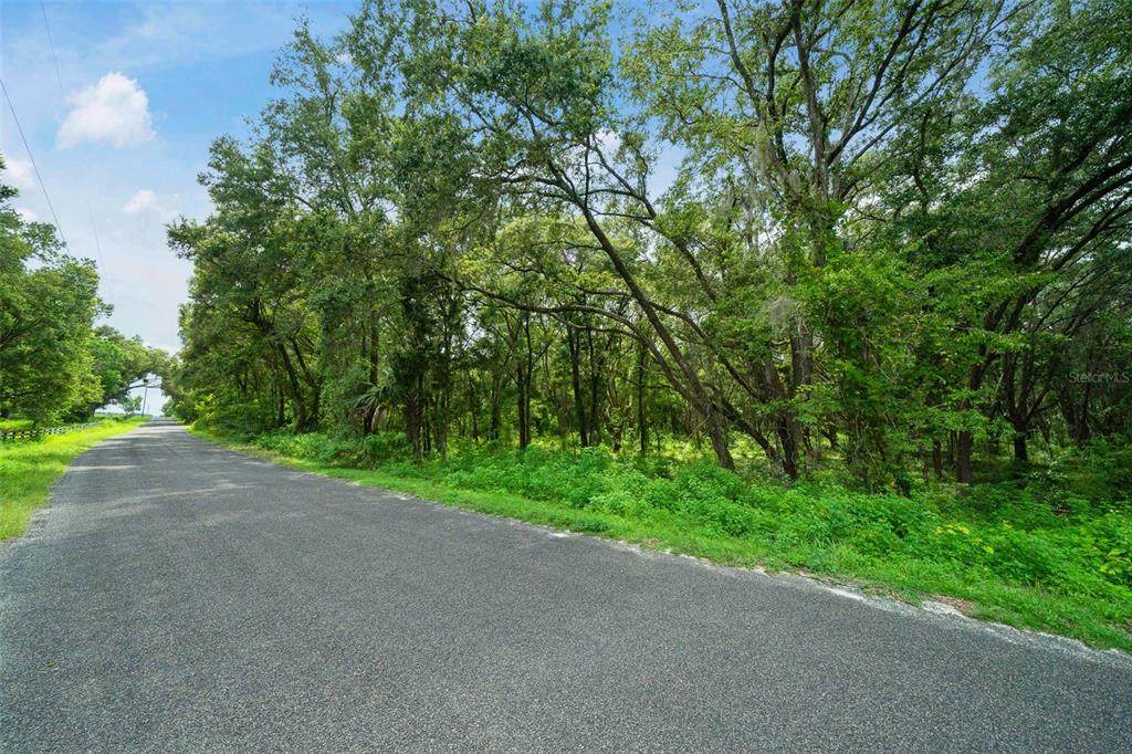150TH AVENUE ROAD - Photo 1