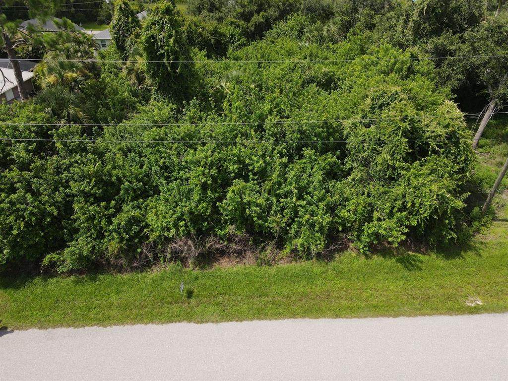 392 Albatross Road - Photo 1