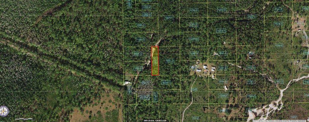  Holopaw Groves Road - Photo 1
