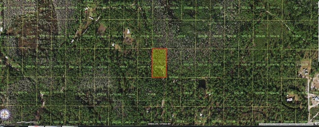  Holopaw Groves Road - Photo 1