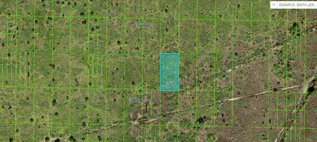 River Ranch Boulevard - Photo 1