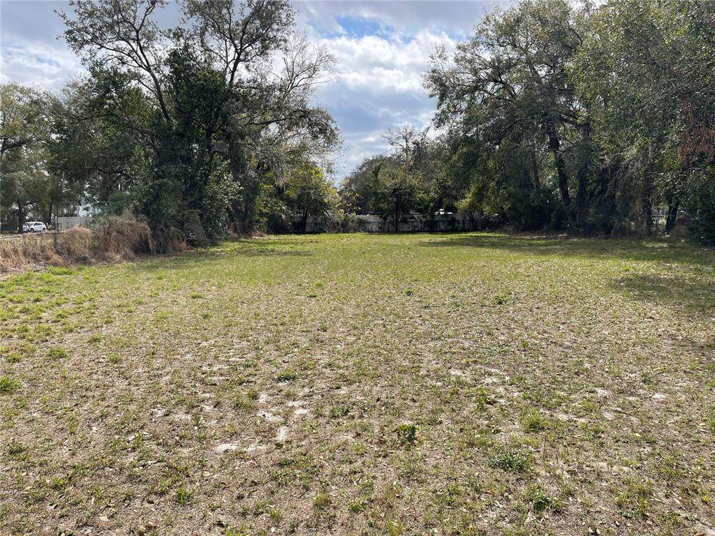 5910 Old Winter Garden Road - Photo 1