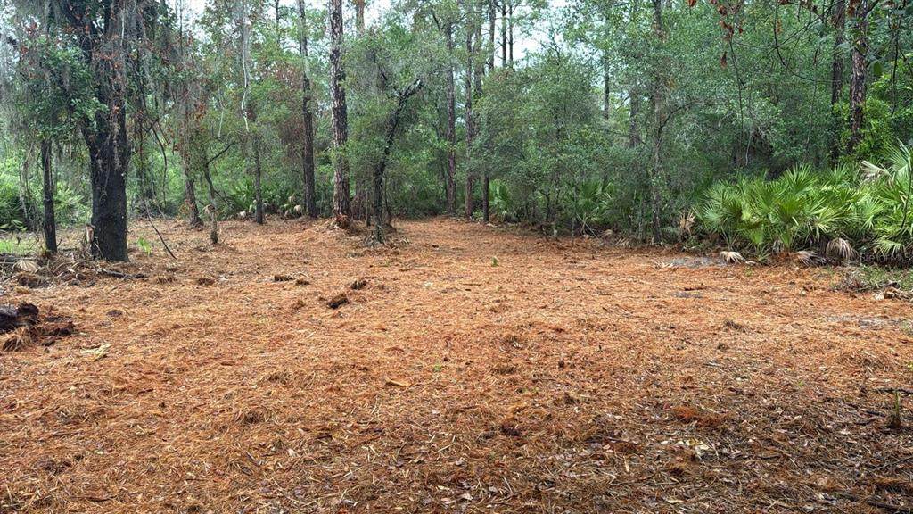 318 Palm Way - Photo 1