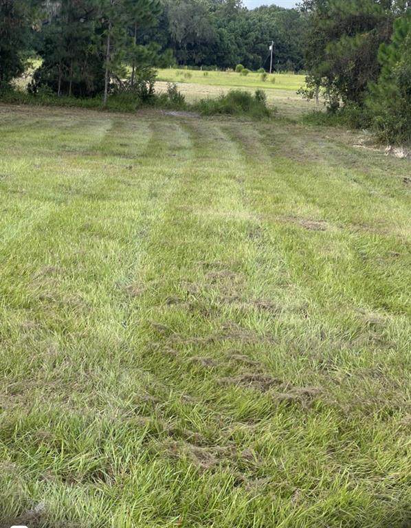 226 Hunting Shortcut Road - Photo 1