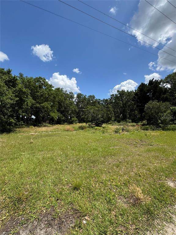 4202 Drawdy Road - Photo 1