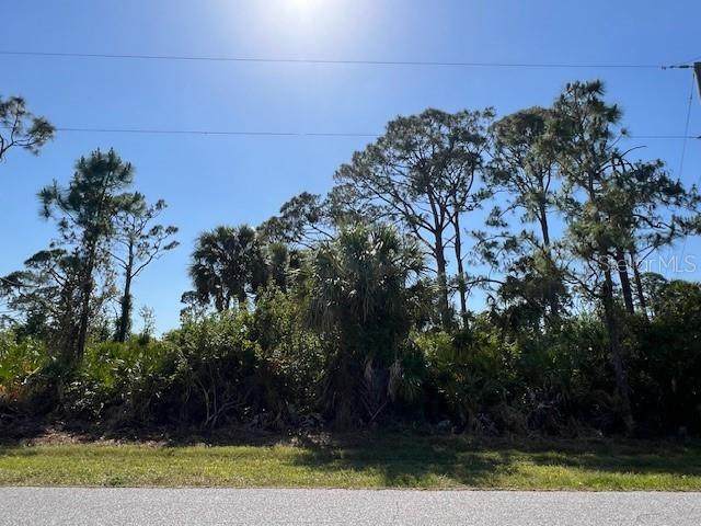 4097 Chippewa Street - Photo 1