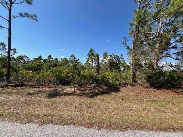 12108 Benham Avenue - Photo 1