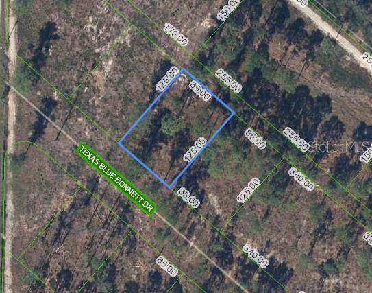 6139 Texas Blue Bonnett Drive - Photo 1