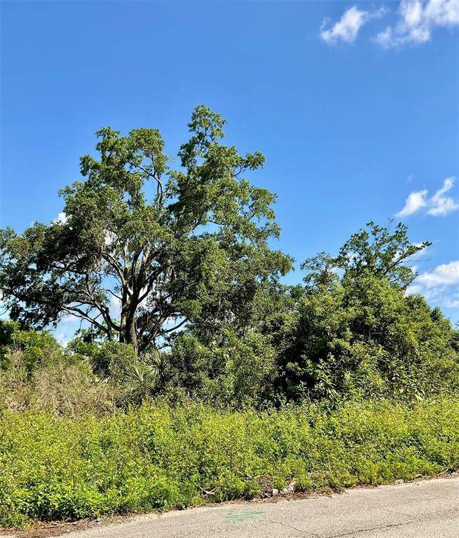  Paige Avenue - Photo 1
