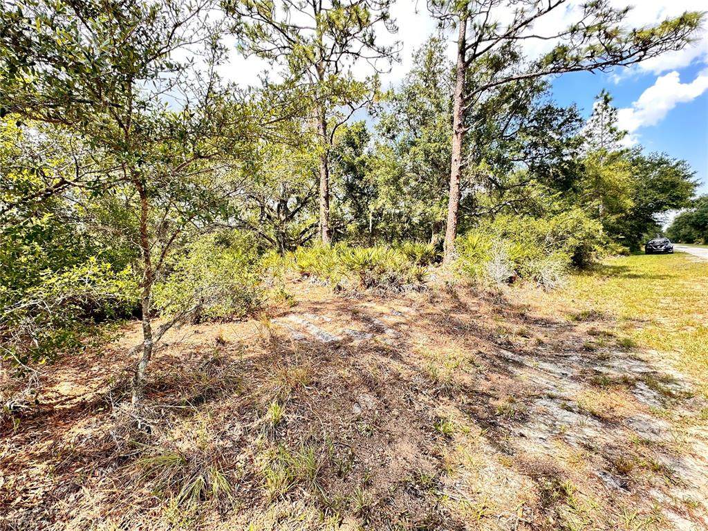 514 Indian Lake Drive - Photo 1