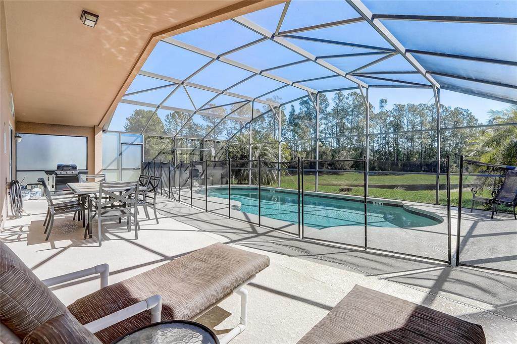 927 Orange Cosmos Boulevard - Photo 1