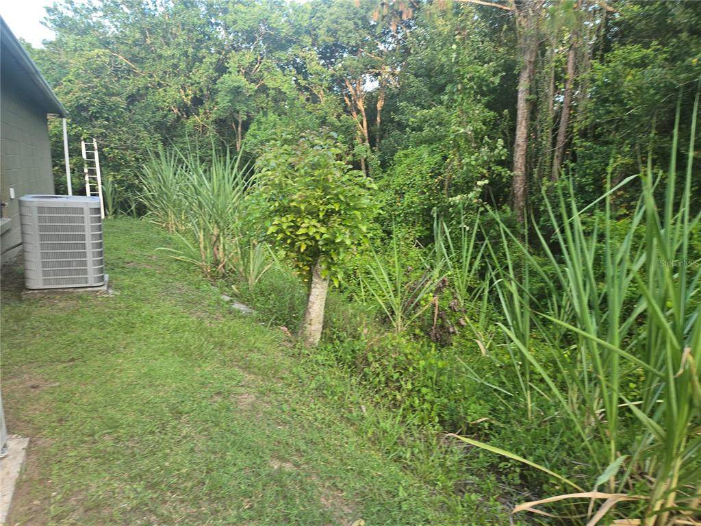 679 Midori Street - Photo 1