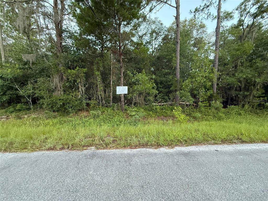 905 Hillsborough Avenue - Photo 1