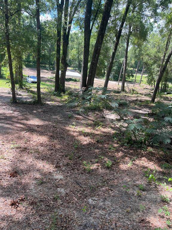 12695 64TH ST RD - Photo 1