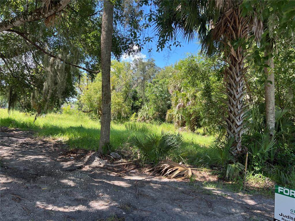 104 Michael Gladden Boulevard - Photo 1