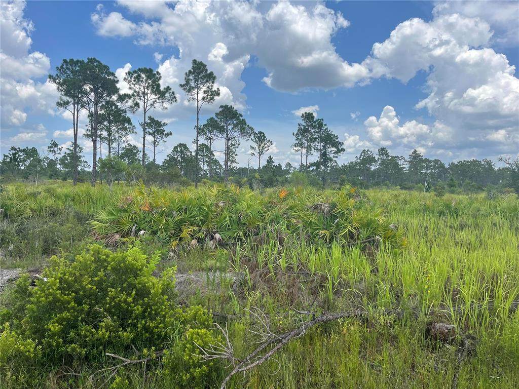 7936 Granada Boulevard - Photo 1