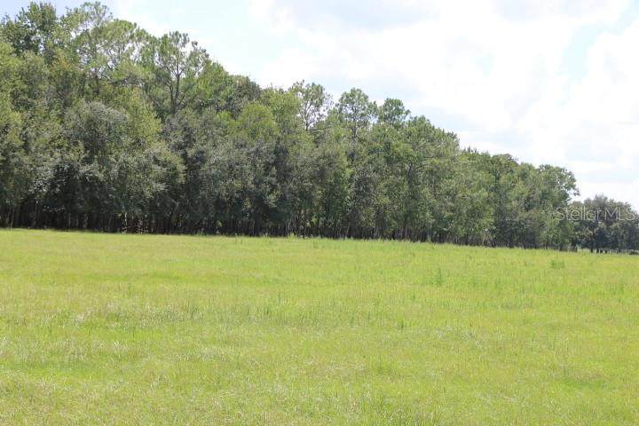  Green Swamp Road - Photo 1