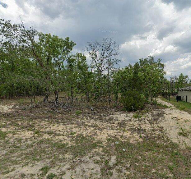 3227 Kirkwood Place - Photo 1