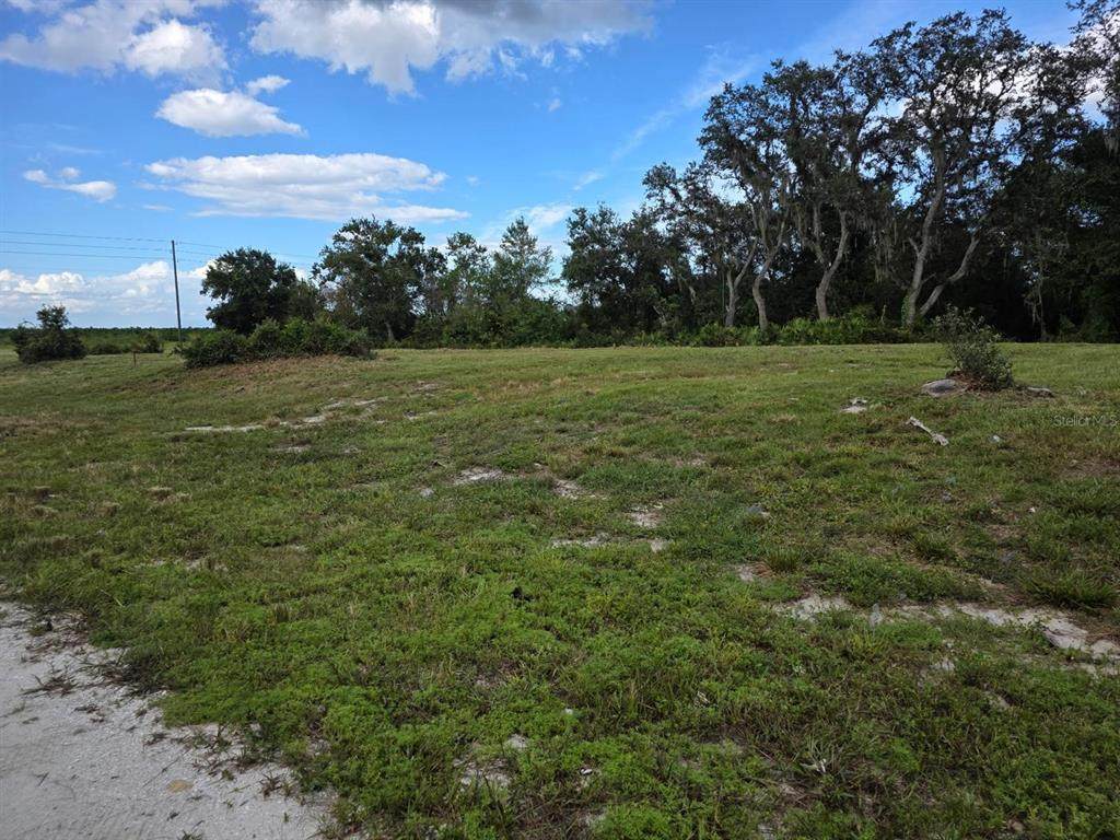 470 Barrie Road - Photo 1