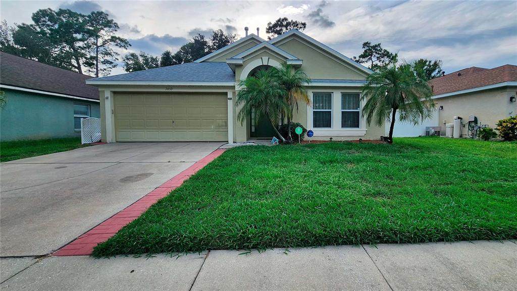 2859 Stags Leap Drive - Photo 1