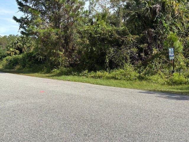 98 Sloganeer Trail - Photo 1