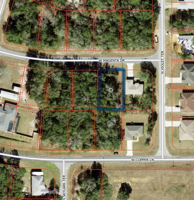 2493 Magenta Drive - Photo 1