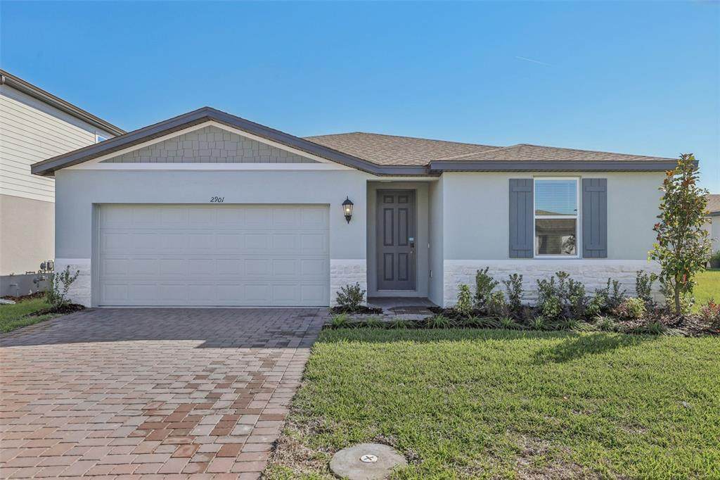 2901 Wild Olive Drive - Photo 1