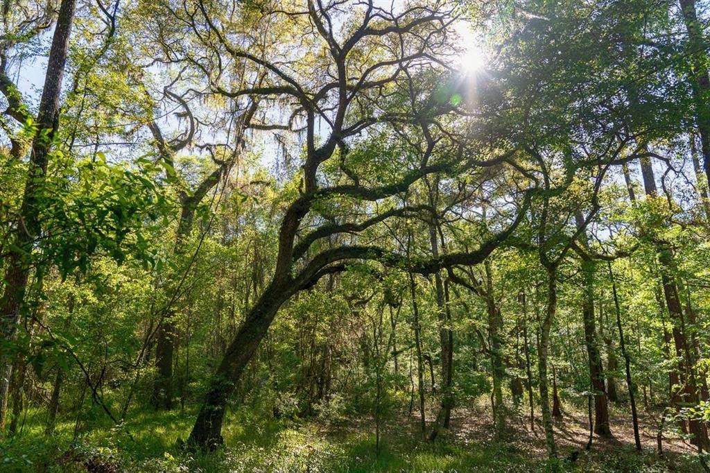 TBD LOT 10 10TH Terrace - Photo 1