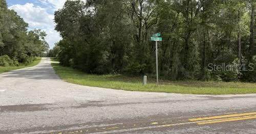 6658 Flower Terrace - Photo 1