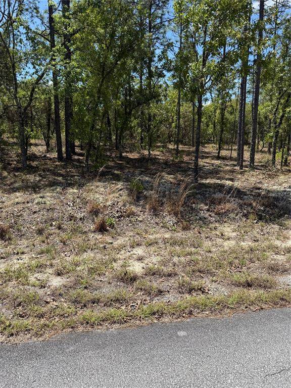 LOT# 8 Mineola Lane - Photo 1