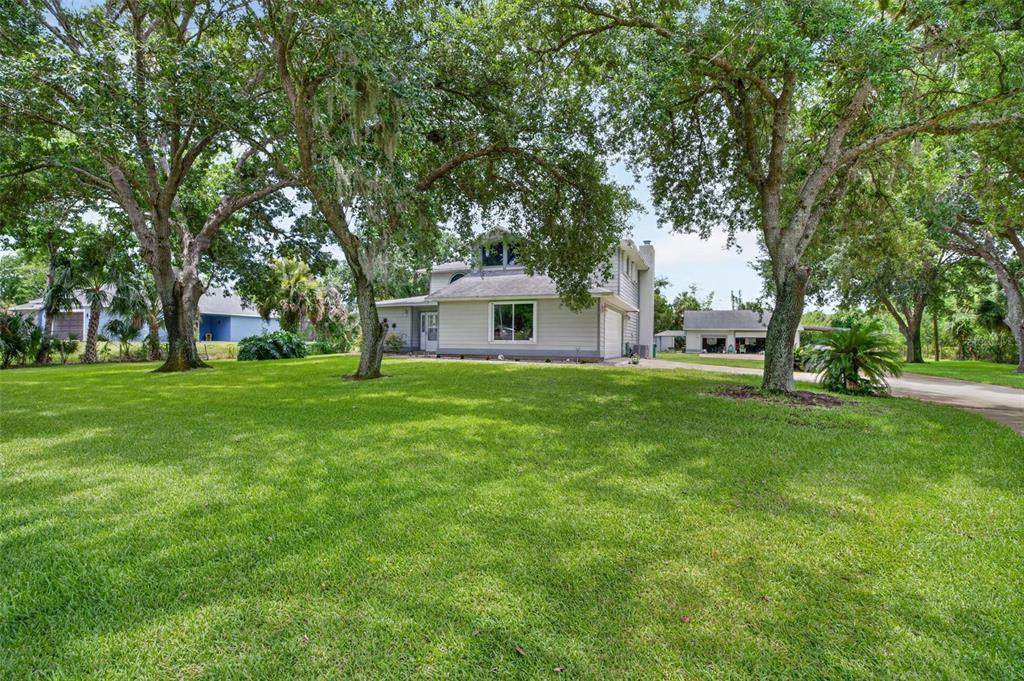 3247 Dalhi Street - Photo 1