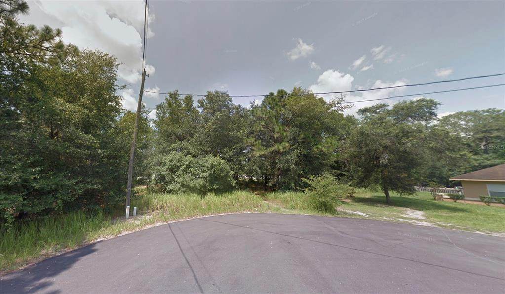  Spring Loop Drive - Photo 1
