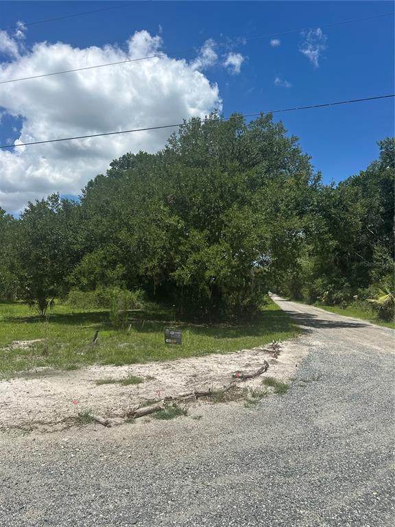 10828 Freddy Street - Photo 1