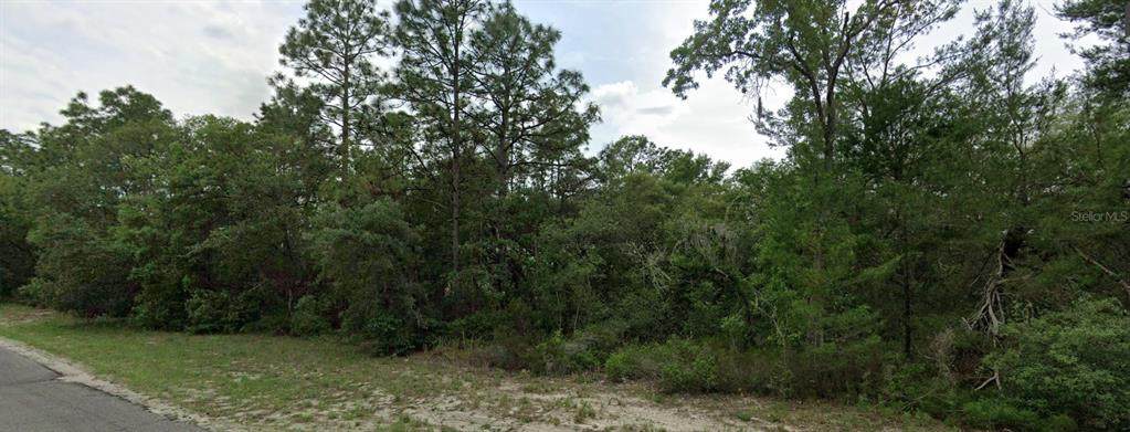 0 151 Place - Photo 1