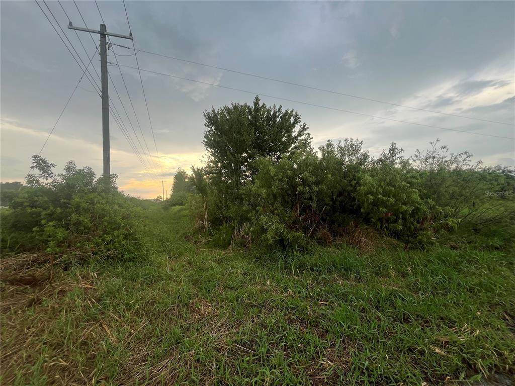 Sr-60 - Photo 1