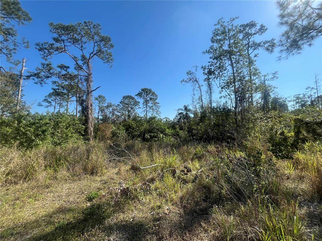 238 Swift Avenue - Photo 1