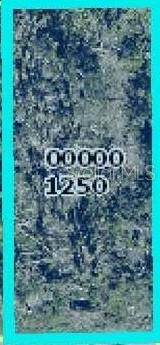 5556 Sandal Lane - Photo 3