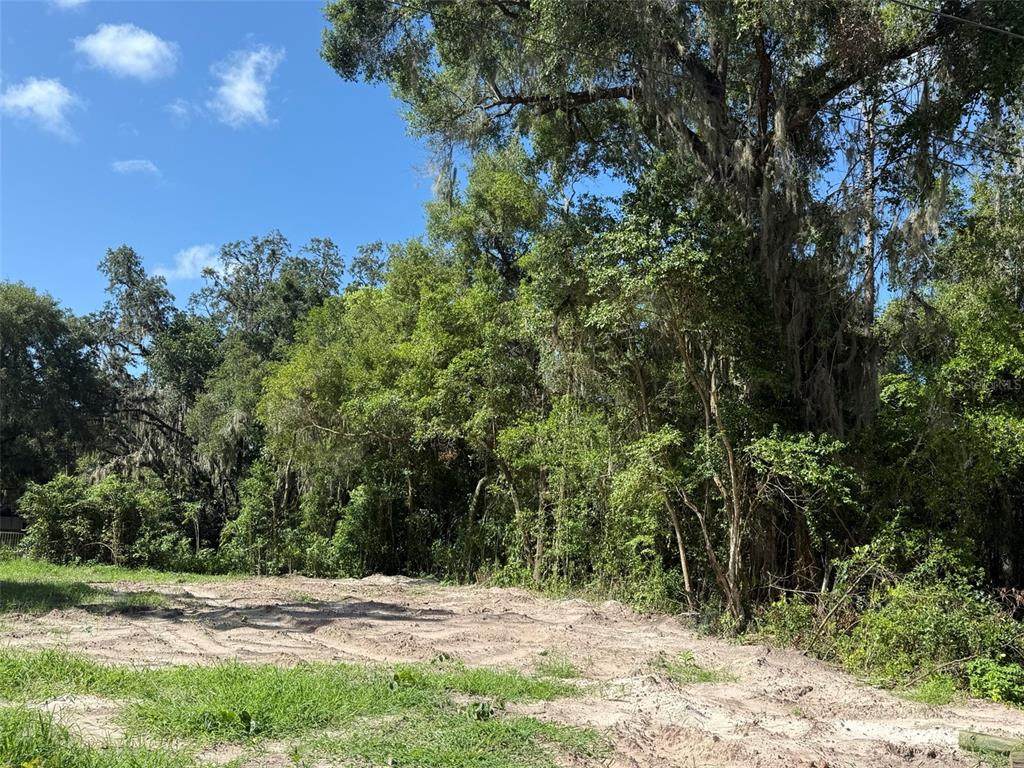 115 Roddy Lane - Photo 1