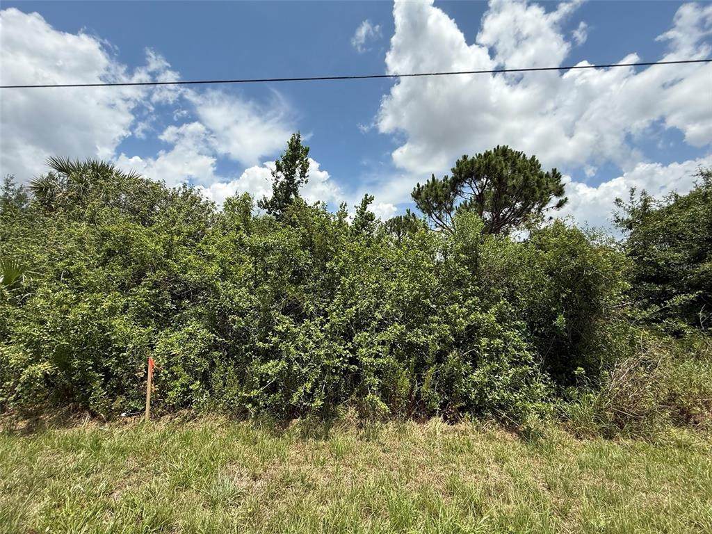  Snug Street - Photo 1