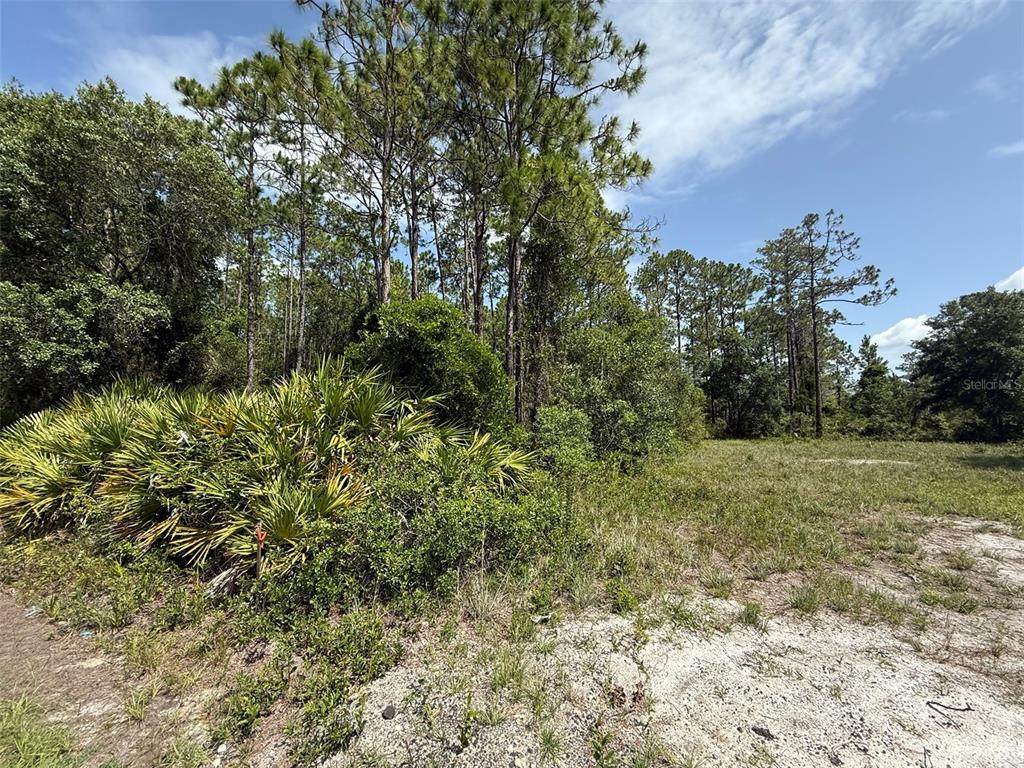 174 Millican Road - Photo 1