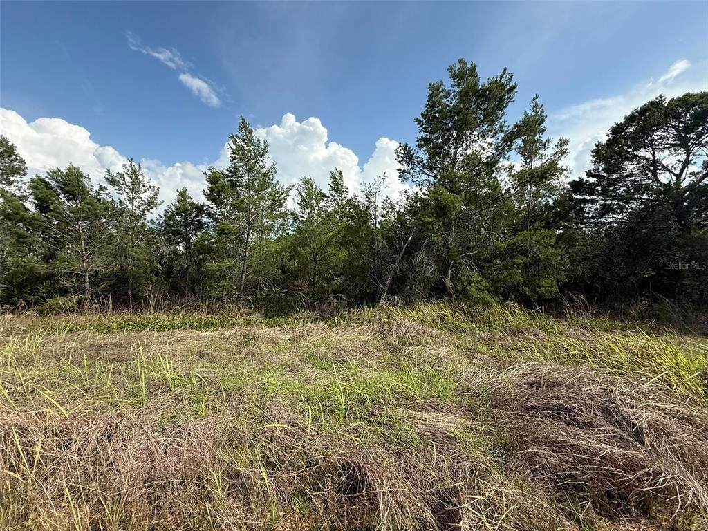 2921 Seville Drive - Photo 1