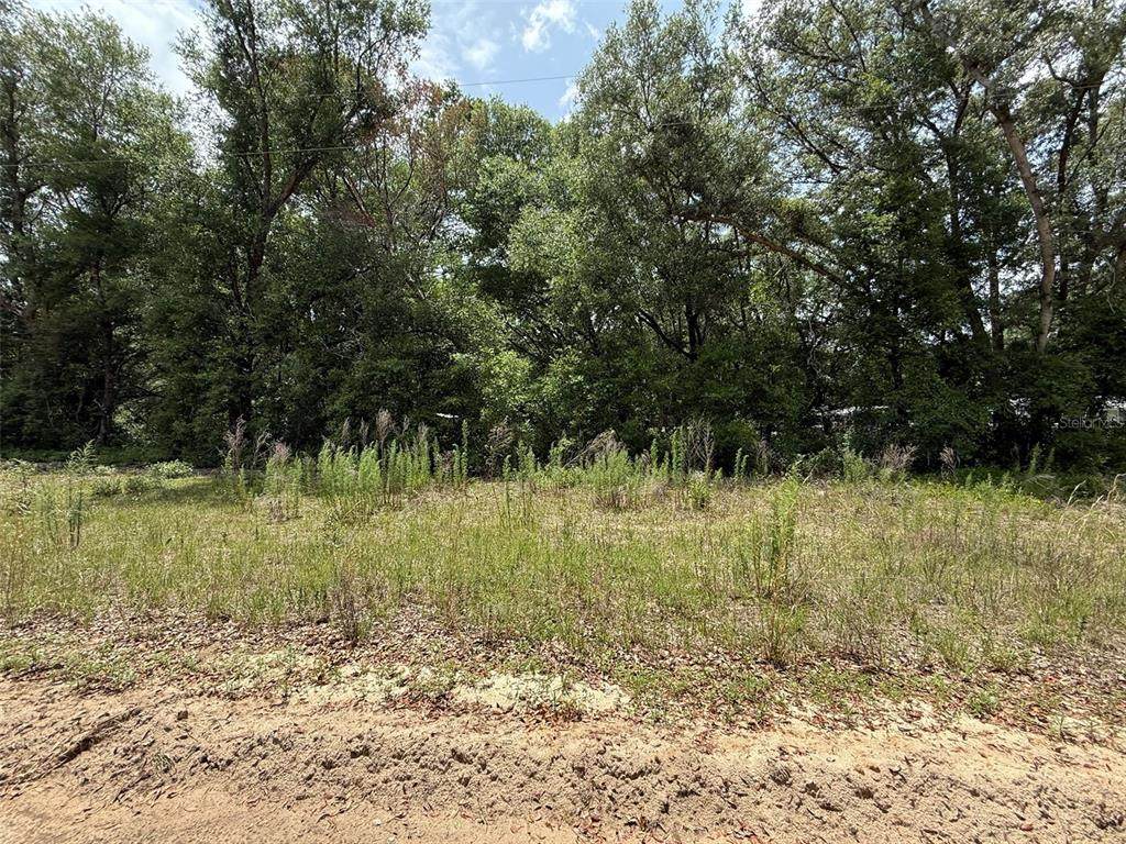 119 Smokey Avenue - Photo 1