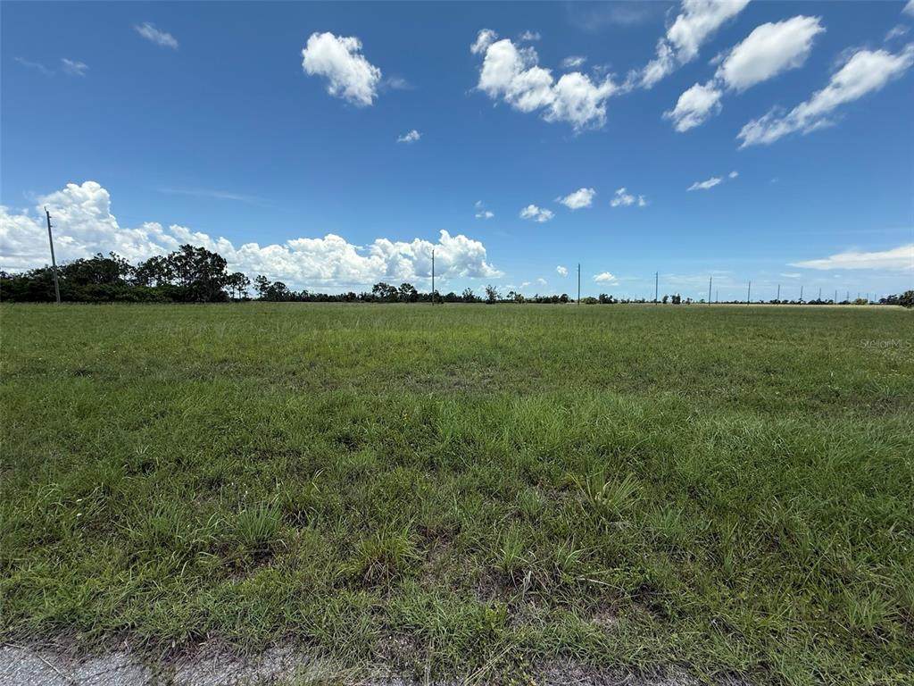 12439 Greenling Way - Photo 1