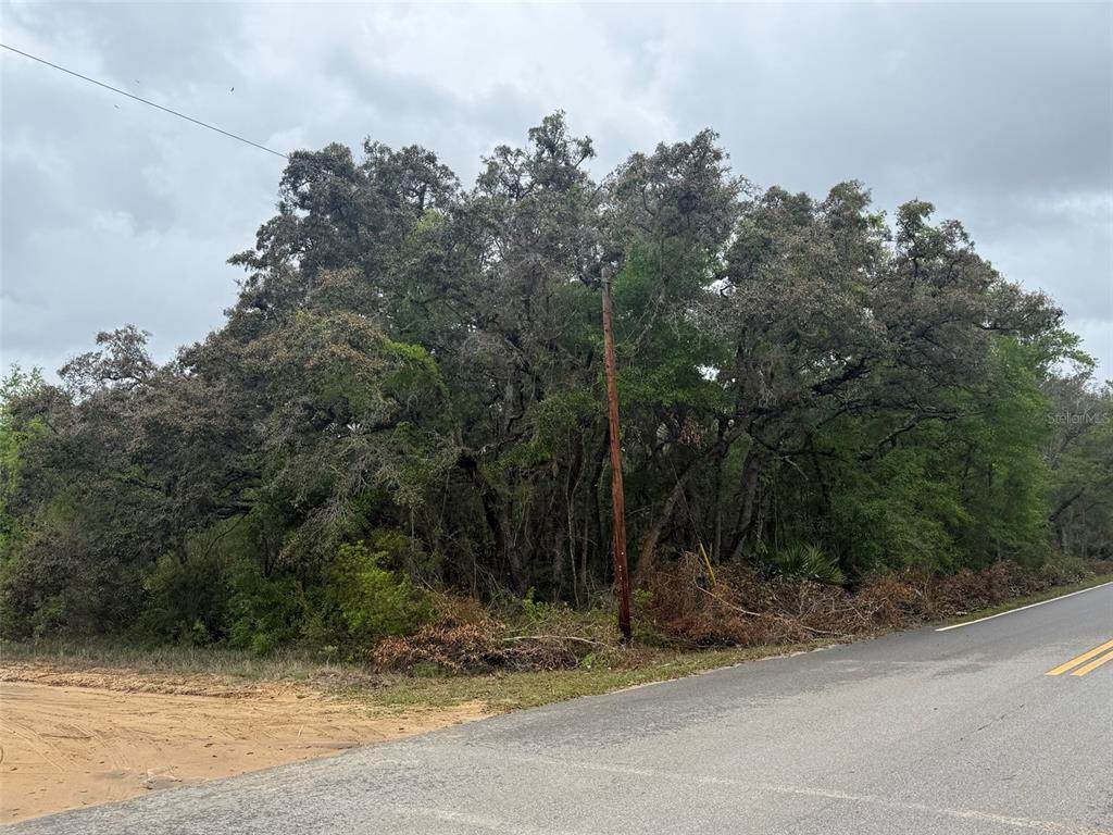 TBD Theresa Avenue - Photo 1