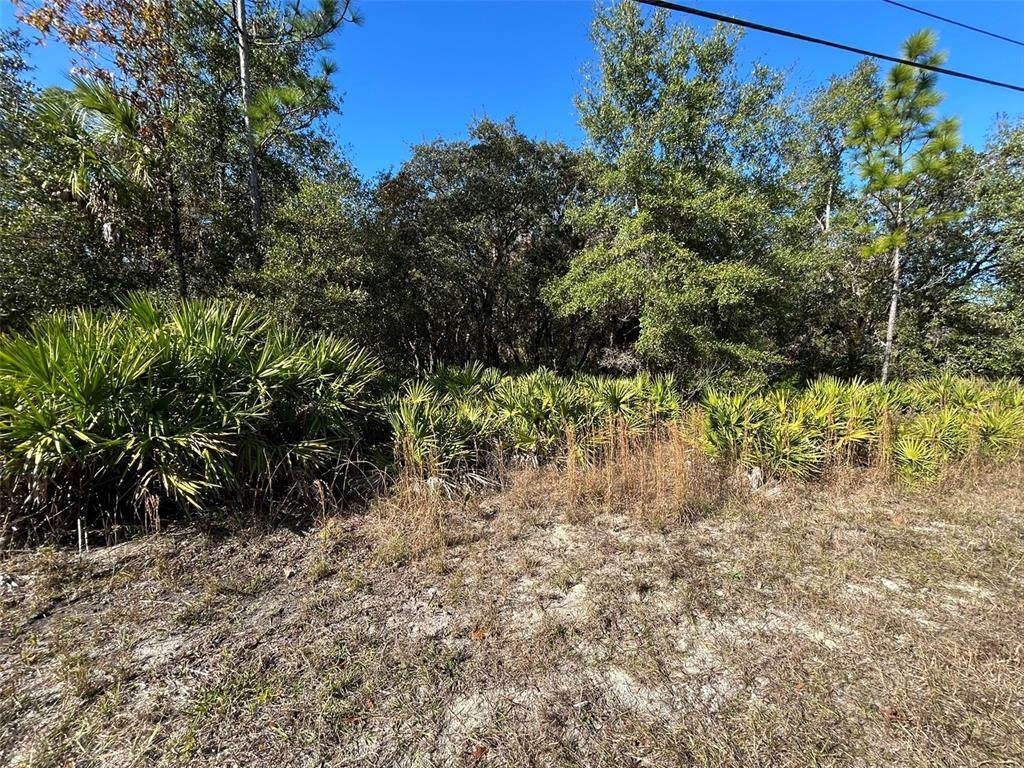 632 Dunkenfield Avenue - Photo 1