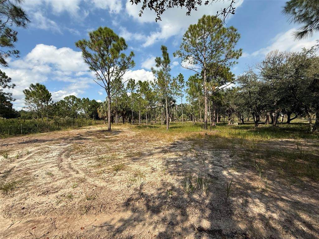 15838 312TH Street - Photo 1