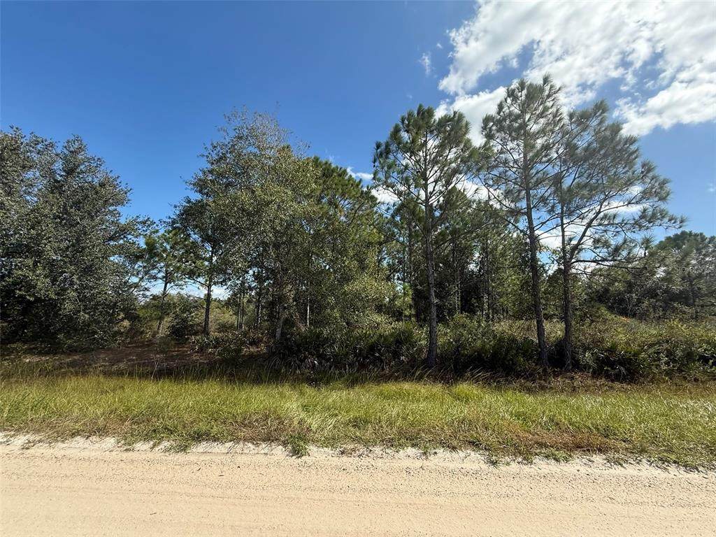 15991 312TH Street - Photo 1