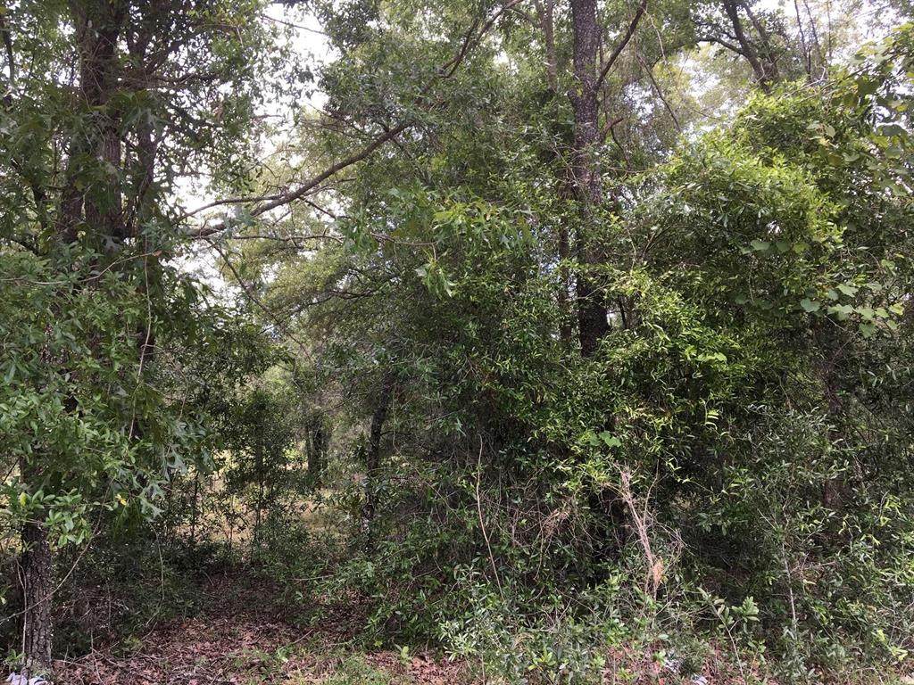 0 Sr 121 - Photo 1