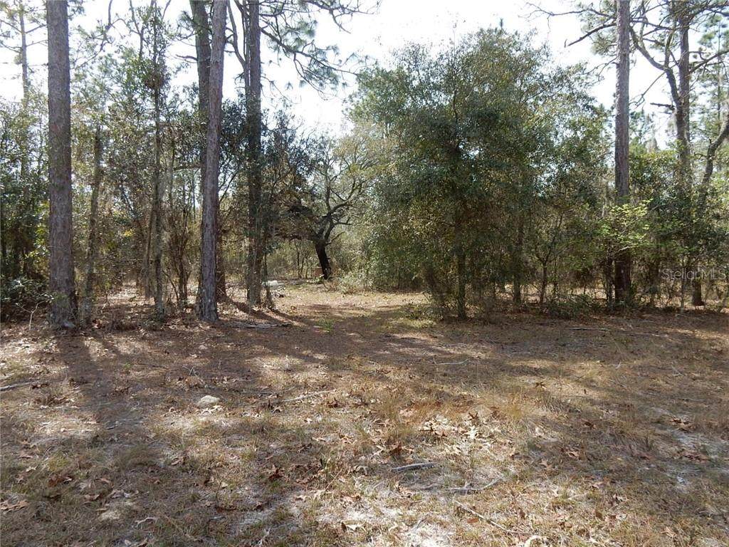 TBD 67 Street - Photo 1 TBD 67 Street - Photo 1